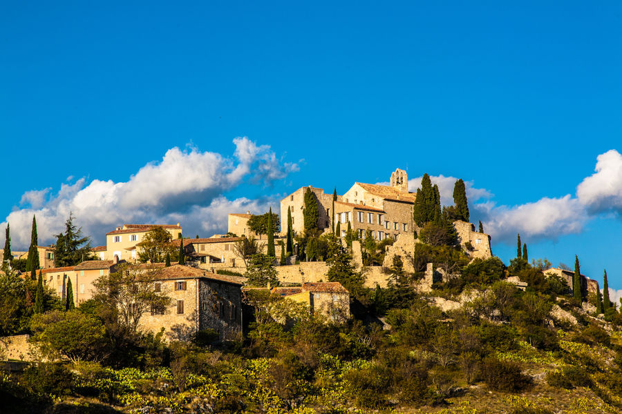 Oliviers et paysage des Monts de Vaucluse