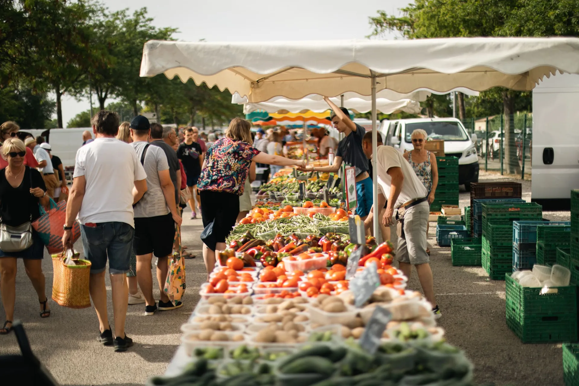 Étal de fruits et légumes d'été